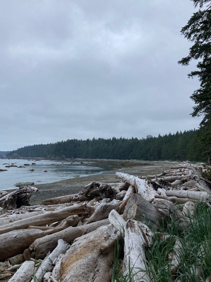 Ozette Triangle Trail Coastline