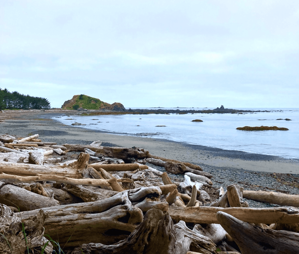 Ozette Triangle Trail Beach looking south