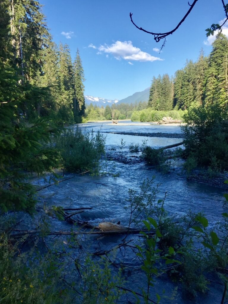 Hoh River at Olympic National Park in Washington