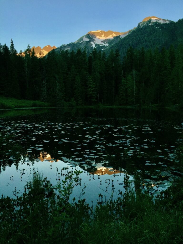 Backpacking at Elk Lake in Olympic National Park