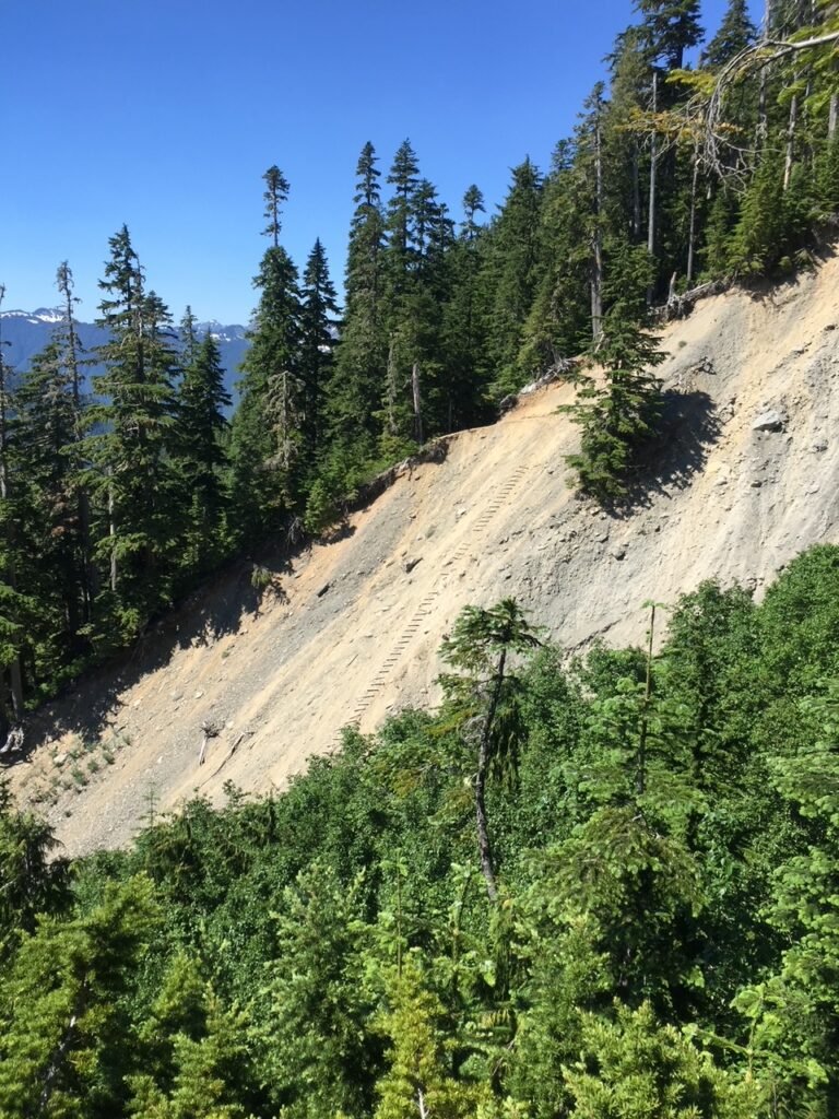 Jemrod Gully Rock Side on the Hoh River to Blue Glacier Trail