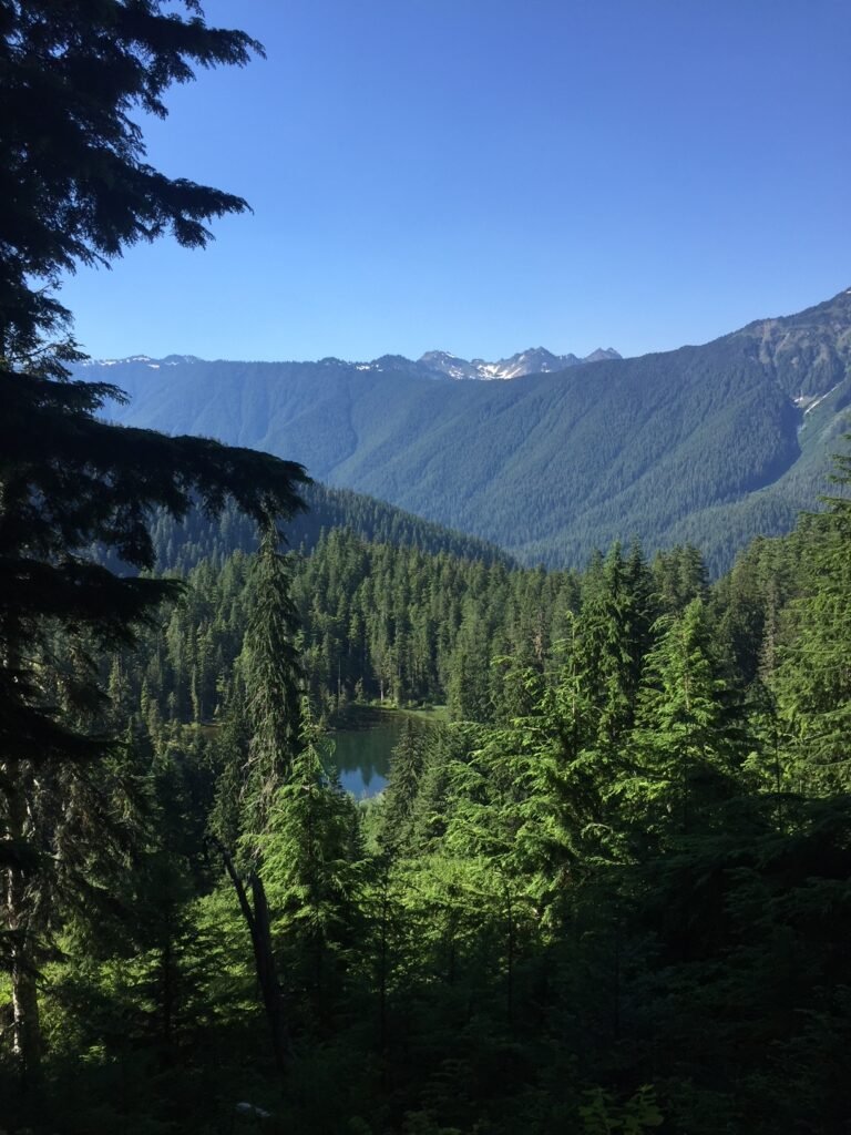 View of Elk Lake in Olympic National Park