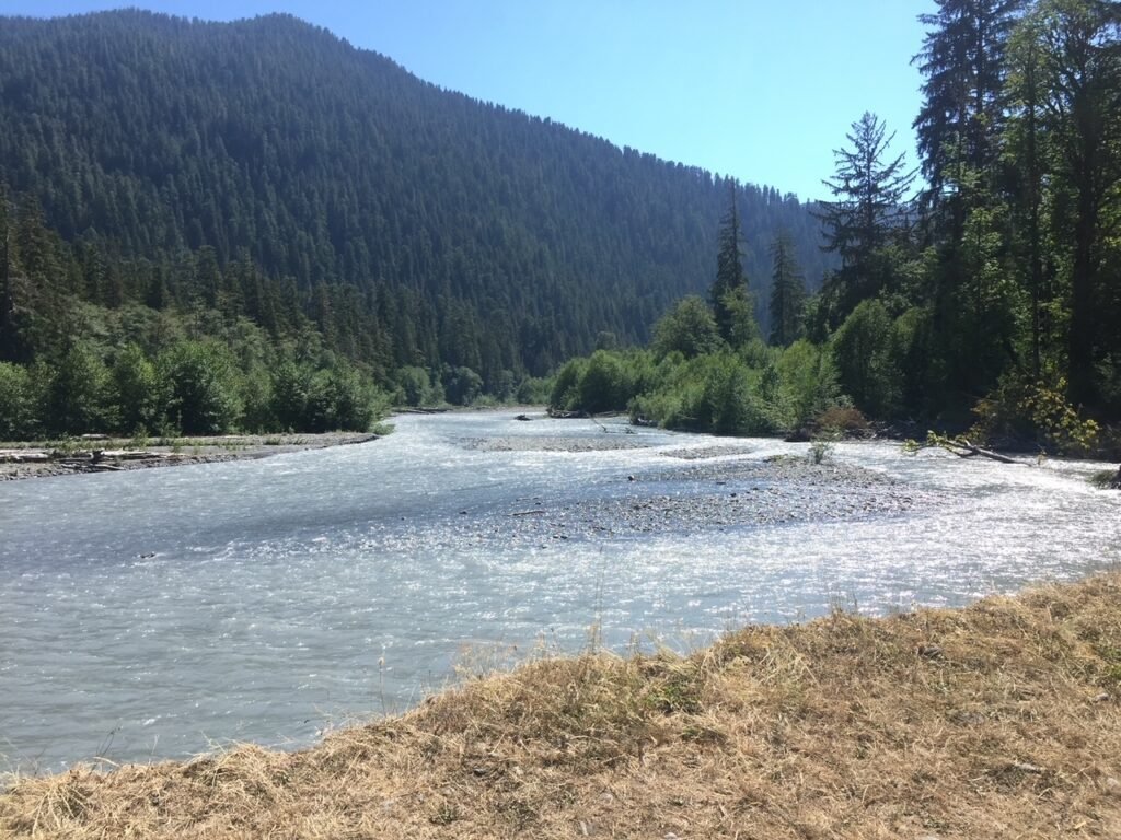 Five Mile Island Campsite on the Hoh River Trail